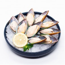 【国内现货包邮】新西兰活捕冷冻青口贝贻贝（半壳）1公斤